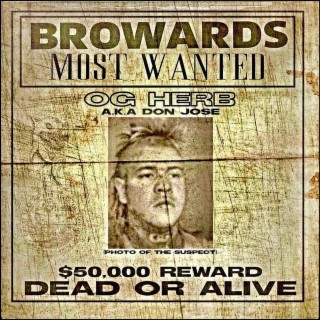 Browards Most Wanted