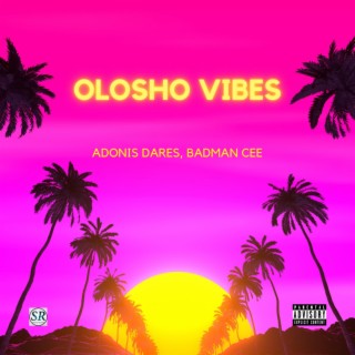 Olosho Vibes ft. Badman Cee lyrics | Boomplay Music