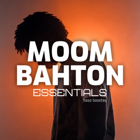 Moombashment (BassBoosted Patois Mix) ft. Moombahton & Reggaetone | Boomplay Music