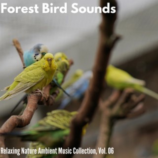 Forest Bird Sounds - Relaxing Nature Ambient Music Collection, Vol. 06