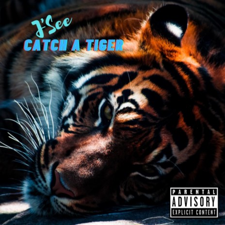 Catch A Tiger | Boomplay Music