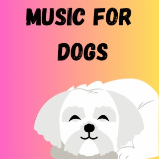 Music For Dogs (Vol.162)