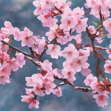 Cherry Blossom | Boomplay Music