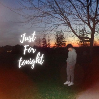 Just For Tonight lyrics | Boomplay Music