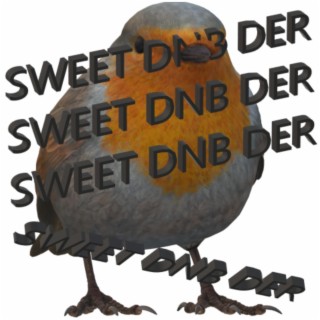 Sweet Dnb Der