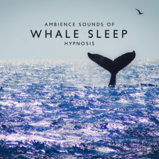 Ambience Music with Peaceful Sounds of Whale for Sleep Hypnosis