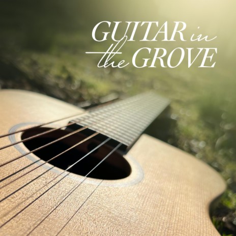 Guitar in the Grove