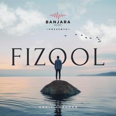 Fizool ft. Ankit Chauhan & Rishi Dabal | Boomplay Music