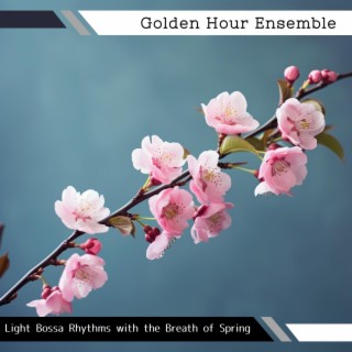 Light Bossa Rhythms with the Breath of Spring