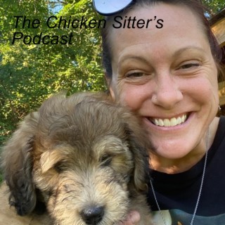 Episode 2: So your thinking of getting chickens?