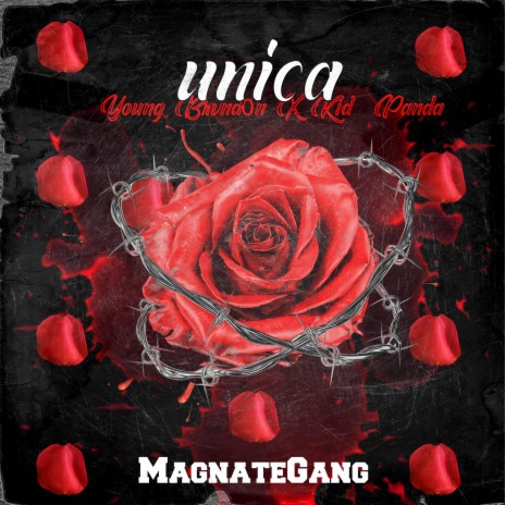 Unica ft. youngbrandon | Boomplay Music