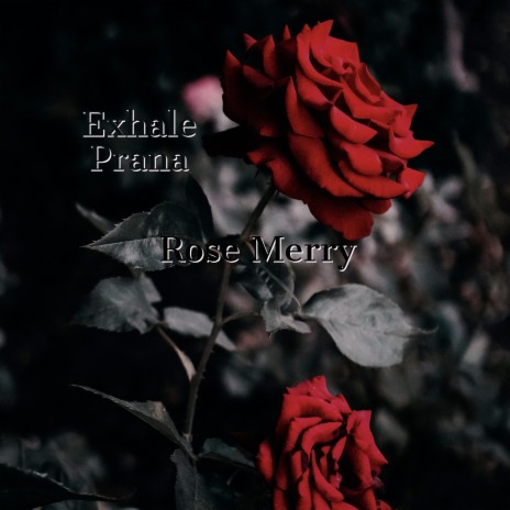 Rose Merry | Boomplay Music