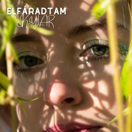 Elfáradtam | Boomplay Music