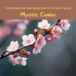 Comfortable Laid-back Bossa with the Arrival of Spring