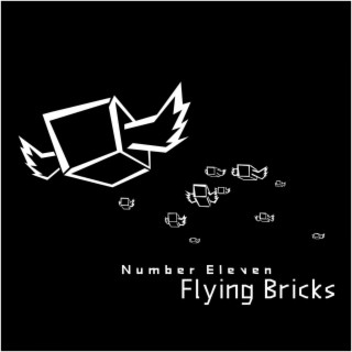 Flying Bricks