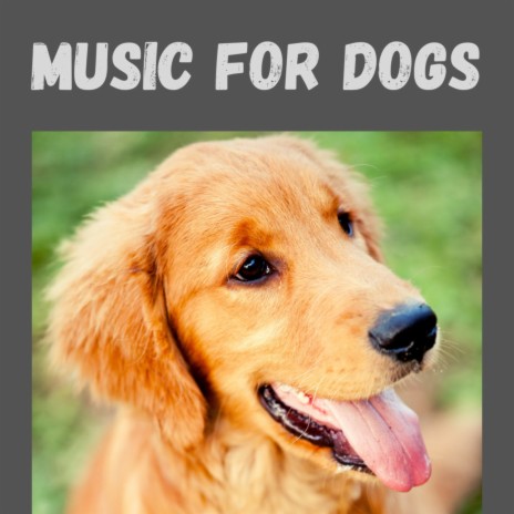 Pure Bliss ft. Music For Dogs, Music For Dogs Peace & Calm Pets Music Academy | Boomplay Music