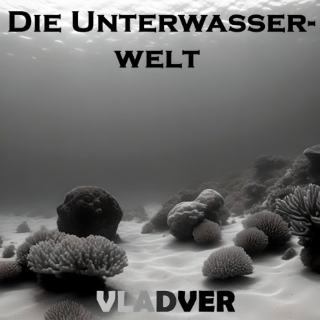 Die Unterwasserwelt