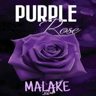 Purple Rose