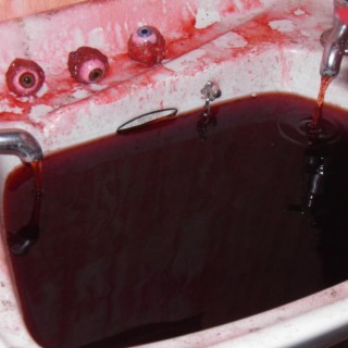 BLOOD in the SINK