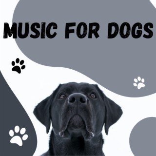 Music For Dogs (Vol.155)