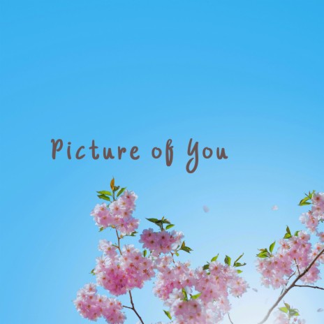 Picture of You | Boomplay Music