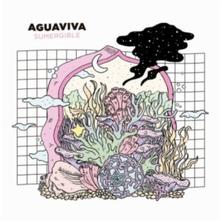 Aguaviva