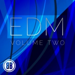 EDM 2