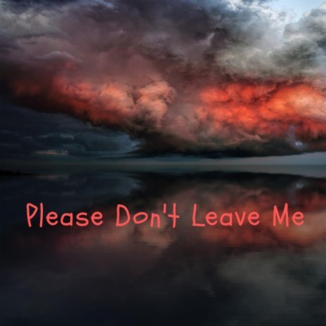 Please Don't Leave Me