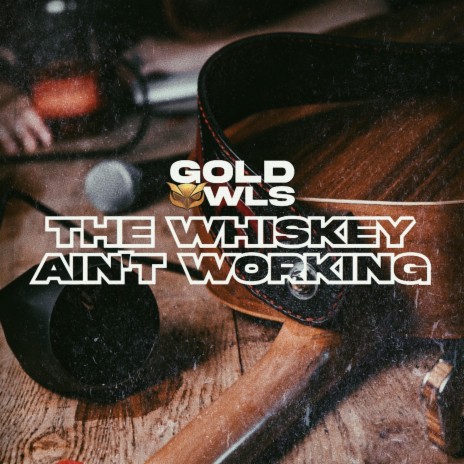 The Whiskey Ain't Working (Radio Edit) | Boomplay Music