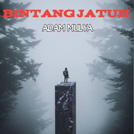 Bintang Jatuh