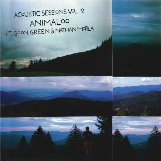 Acoustic Sessions, Vol. 2 (Acoustic)