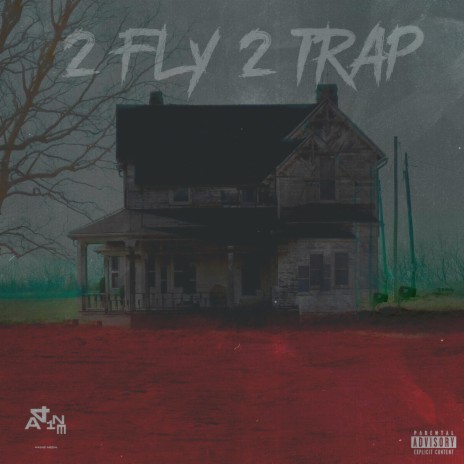 2 Fly 2 Trap