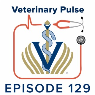 Daniella Guzman on taking a strategic approach in choosing a veterinary school and the value in forging your own path