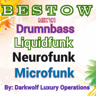 Bestow Mix Brumbnbass Liquidfunk Neurofunk Microfunk Styles