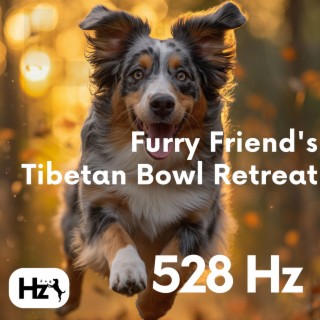 Furry Friend's 528 Hz Tibetan Bowl Retreat