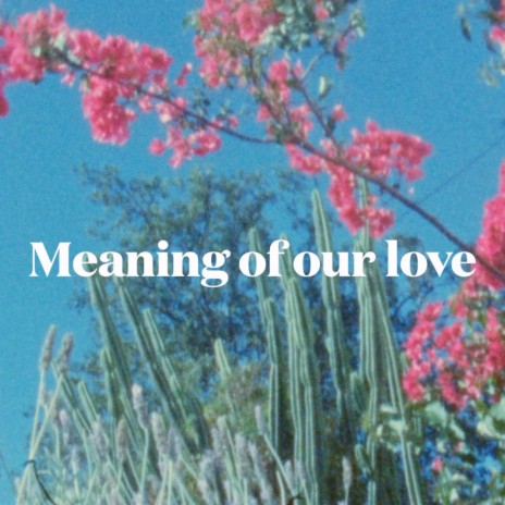 Meaning Of Our Love | Boomplay Music