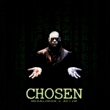 Chosen ft. Acizm & Rob Shaker | Boomplay Music