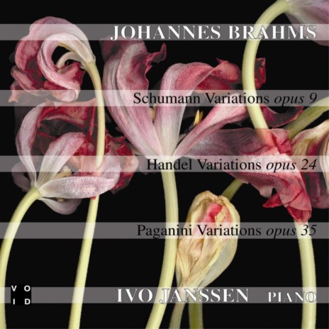 Paganini Variations In A Minor Op. 35, Book 2: Variations 8-11 | Boomplay Music