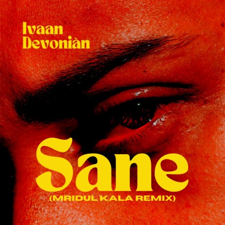 Sane (Mridul Kala Remix) ft. Ivaan & Devoniàn | Boomplay Music