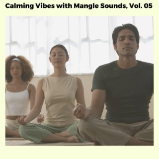 Calming Vibes with Mangle Sounds, Vol. 05