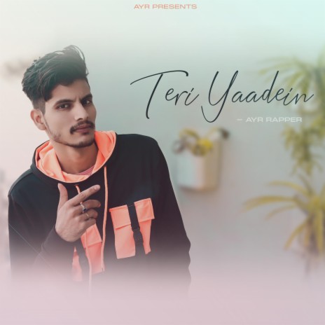 TERI YAADEIN