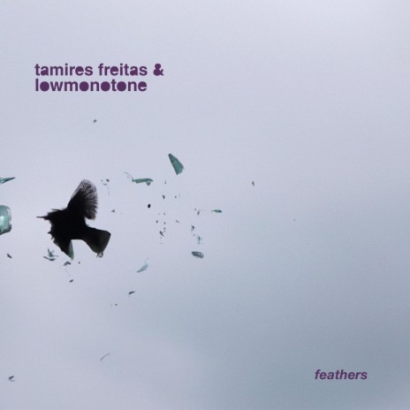 Feathers ft. Lowmonotone | Boomplay Music