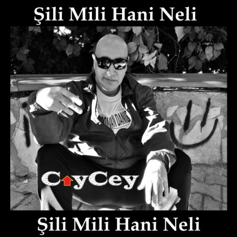 Şili Mili Hani Neli | Boomplay Music