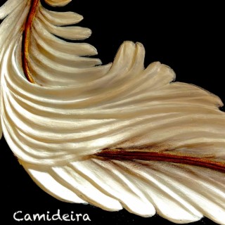 Camideira