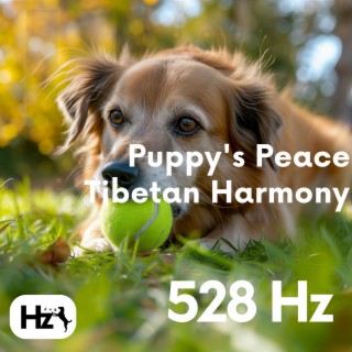 Puppy's Peace: 528 Hz Tibetan Harmony