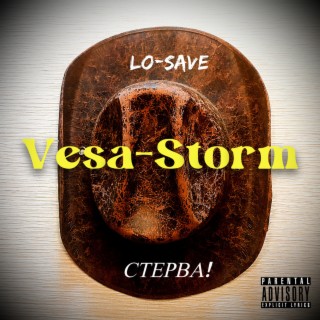 Vesa-storm