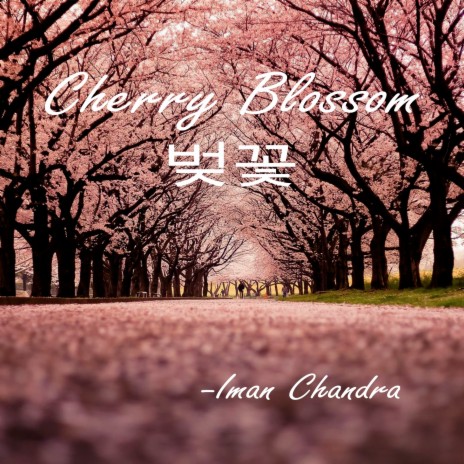 Cherry Blossom | Boomplay Music