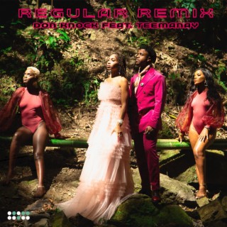 Regular (Remix) ft. Teemanay lyrics | Boomplay Music