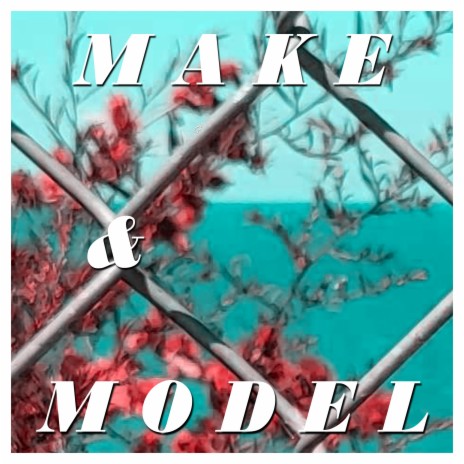 Make & Model