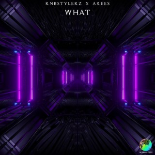 WHAT (Extended Mix)